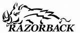 Logo Arkansas Razorbacks Outline Razorback Coloring University Template sketch template