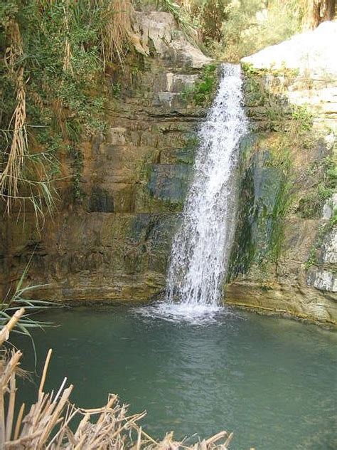 visit the rushing waterfalls of ein gedi in the middle of israel s dry desert