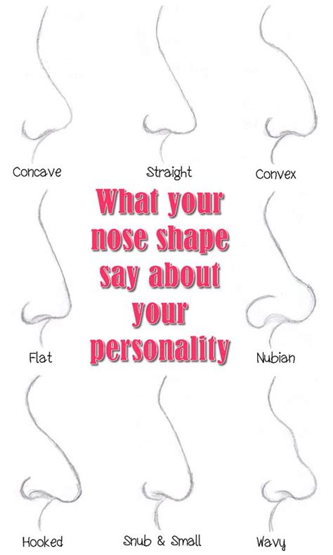 nose shape    personality writing stuff nose