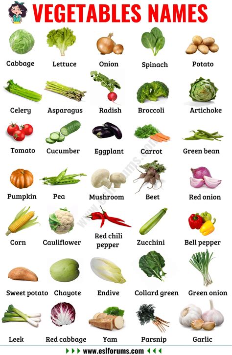 vegetable names learn  types  vegetables  pictures