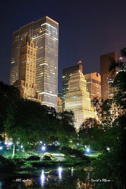 city skyline  lit   night  skyscrapers  trees