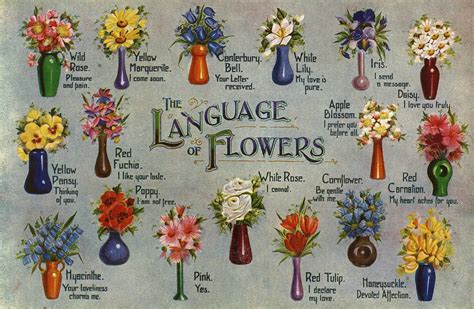 flower meanings symbolism  flowers herbs   plants   farmers almanac