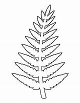 Fern Pattern Outline Template Coloring Leaves Leaf Stencil Stencils Clipart Printable Drawing Patternuniverse Flower Flowers Use Paper Templates Crafts Patterns sketch template