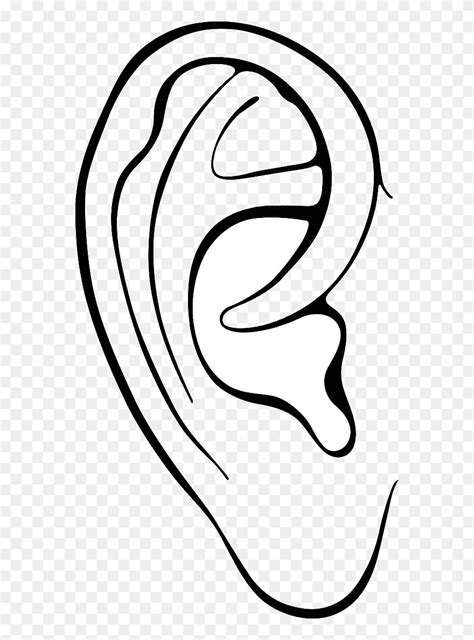 ears frames illustrations hd ear clipart outline png