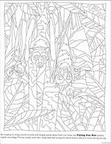 Camouflage Coloring Animal Pages Printable Colouring Kids Dover Sheets sketch template