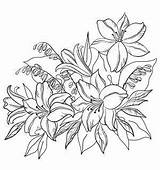 Coloring Flower Pages Lily Flowers Printable Color Drawing Amazingly Exquisite Book Buzzle Getdrawings Visit Getcolorings sketch template