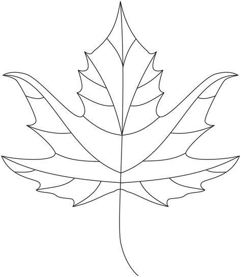 oriental plane chinar leaf vector icon black  white  vector