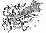 Squid Colossal sketch template