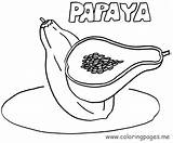 Papaya Coloring Totonacas Preescolar Totonaca sketch template