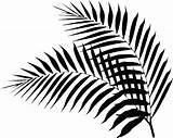 Fern Drawing Silver Outline Clipartmag sketch template