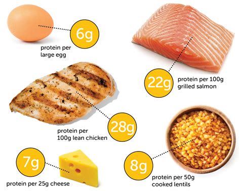 How Much Protein Do I Need Per Day Amelia Phillips