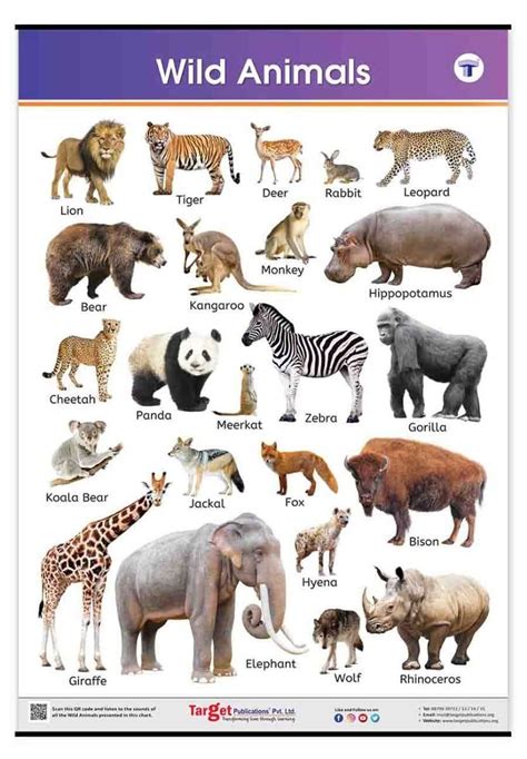 wild animals learning chart learning charts  kids  target