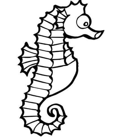 printable seahorse stencil