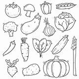 Sayuran Vegetable Lukisan Sayur Pngtree Doodles Coretan sketch template