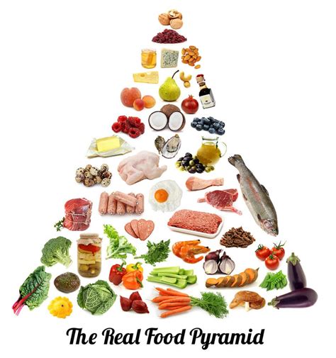 Paleo Food Pyramid Fitwit