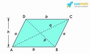 Image result for "corella Parallelogramma". Size: 177 x 106. Source: www.cuemath.com