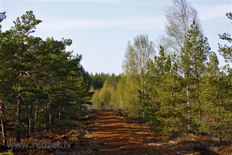 ventspils novads redzeteu