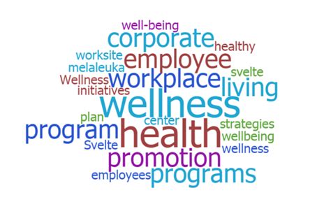 wellness   wellness program definition