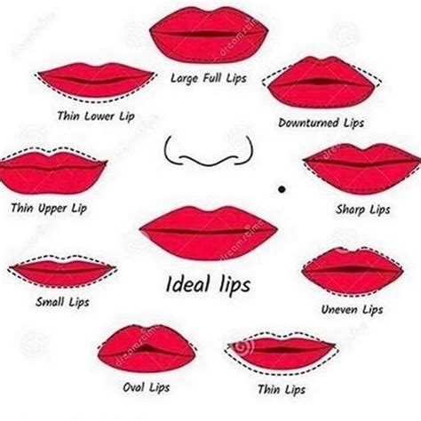 comment your ideal lip shape 👄 lip shapes makeup tips lips