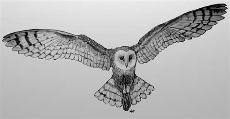 barn owl flying  skoppiodeviantartcom  atdeviantart tatoo
