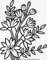 Coloring Flower Pages Flowers Embroidery Printable Power Trace Patterns Choose Board Clipart Book sketch template
