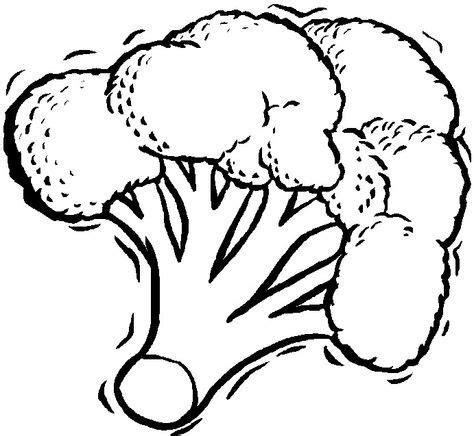 cauliflower coloring  kids  coloring pages coloring pages