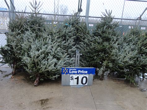 Any Size Christmas Tree Real 10 Walmart Ship Saves