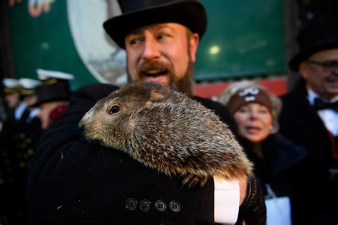 groundhog predicts early spring dont   excited hes  wrong nbc palm springs