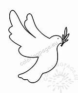 Olive Dove Branch Holding Flying Peace sketch template