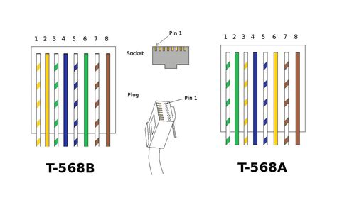 cate wiring diagram australia cable  cat  connectors wiring diagram