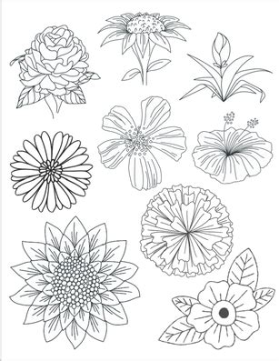 flowers  leaves coloring sheets coloring sheets  printable