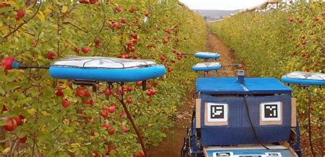 apple drones   reality  orchards cultivating fruit