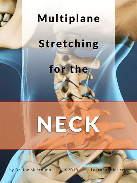 multiplane stretching   neck learn muscles