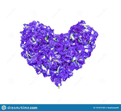 blue butterfly pea flower or clitoria ternatea in heart