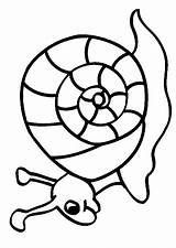 Colorat Escargot Coquille Melci Caracol Hugo Imprimer Animale Planse Animaux 1040 Hugolescargot Coloriages Snails Animales Caracoles Dessins sketch template