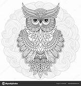 Hibou Colorier Inspirant Coloriage Cadre Mignon Vectorielle sketch template