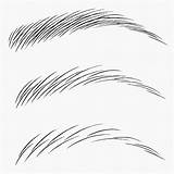 Eyebrow Drawing Eyebrows Hair Practice Strokes Sobrancelha Microblading Sobrancelhas Brows Stroke Sketch Getdrawings Desenho Makeup Drawings Choose Board Escolha Pasta sketch template