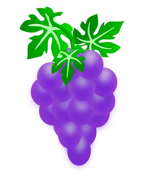 tasty purple grape  stock photo public domain pictures
