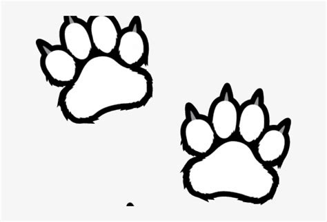 scratches clipart tiger paw tiger paws coloring pages transparent png