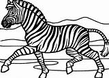 Zebra Coloring Pages Realistic Printable Color Getdrawings Print Animalplace Face Getcolorings 95kb 432px sketch template