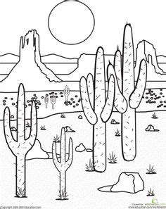 desert detailed coloring page exploring nature educational resource