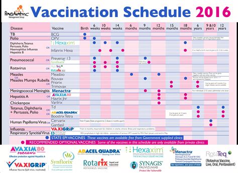 printable vaccination chart