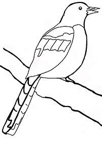 birds printable coloring pages