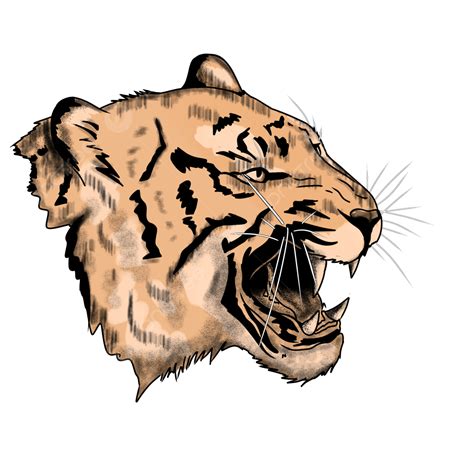 tijger hoofd cartoon afbeelding tijger hoofd dier afbeelding png transparante clipart en psd