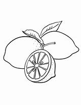 Coloring Lemon Printable Coloringcafe Pages Food sketch template