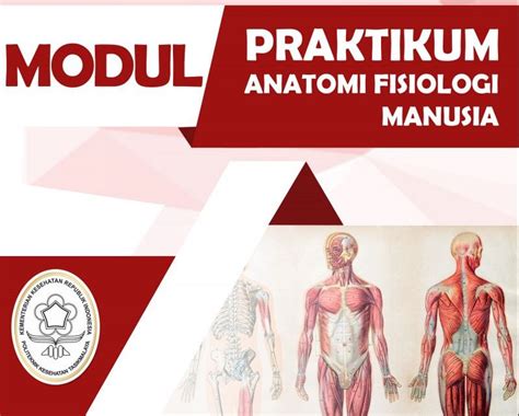modul praktik anatomi  fisiologi manusia  poltekkes tasikmalaya