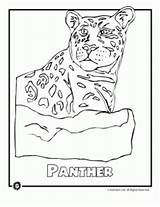 Endangered Coloring Animals Rainforest Pages Animal Panther Most Ocean America North Kids Activities Panth sketch template