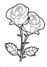 Rose Color Flowers Drawing Coloring Flower Pages Printable Simple Beast Beauty Bouquet Colouring Sheets Clipartmag Sketch sketch template