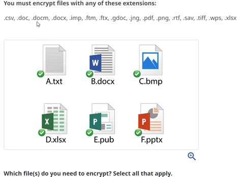 files    encrypted  extensions capa learning