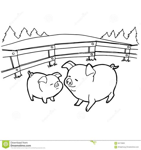 image  pig cartoon coloring pages  white cartoon coloring pages